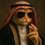 别拿你的家产来挑战我的零花钱