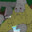 Staga avatar