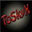ToSkyX