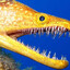 Eel Pope