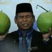 coco[NuT]