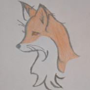 Rose-Dyed Fox