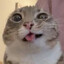 Bricked up Fent Goblin