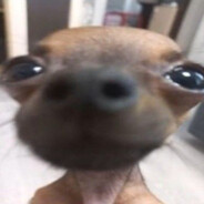 tonittaja69