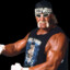 Hulk Hogan