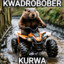 KVADROBOBER KURWA