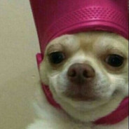 kahina_aa - steam id 76561199141630297