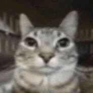 Tyymmii ʕっ•ᴥ•ʔっ
