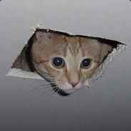 ColdBones - steam id 76561197961878558