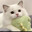JunyE
