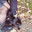 kitty<3