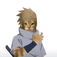 很酷不聊天的猫猫人