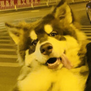 年过80一宿找仨