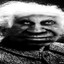 stein