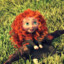 Merida