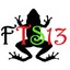 fts13