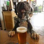 анальный шалун