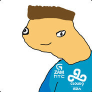 Hippo2k
