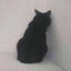 One Really Sad Cat