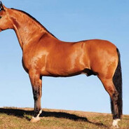 CAMPOLINA ENTRE RIOS DE MINAS