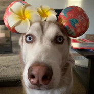 182大帅哥，继续沉淀，