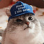 Pusheen