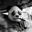 blkPanda™