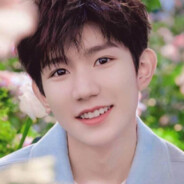 树枝王源中路封烟