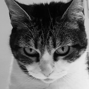MIAU - steam id 76561198333143173