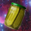 Expired Pickle Jar