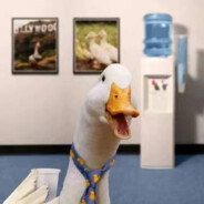 猛扇赵四那边好嘴