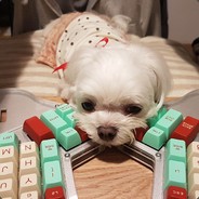 Myan - steam id 76561197960470682