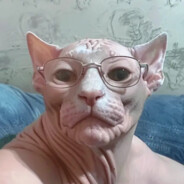 HEHE
