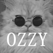 OzzyTheZombi