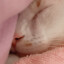 MOMOMOMOMOMOMOM