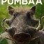 PUMBAA  05