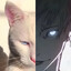 AKASHI