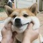 玖柒柒