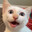 Chizzlo's Avatar