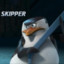 Skipper