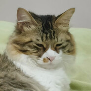 又怎么了我的大小姐