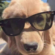 爱做梦的周伯通