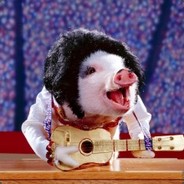 momojiangaijiejiejiang