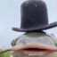 Mr_Fish