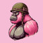 GORILLA WIWI