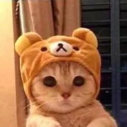 Michus