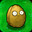 Wall-nut