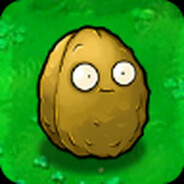 Wall-nut