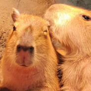 I LOVE CAPYBARA