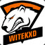 Witekxd CSGO-SKINS.COM